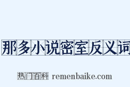 那多小说密室反义词是什么意思的图片